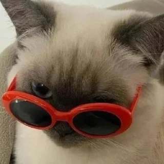 😎 emoji Китик Telegram sticker 12 of 32