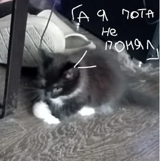 Sticker from Китик