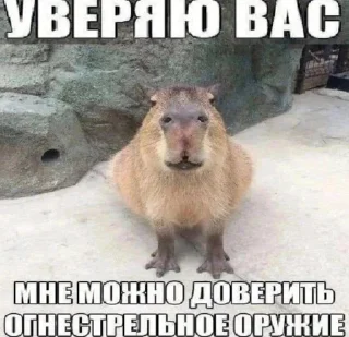 Sticker from бля