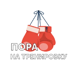 Sticker from Федерация бокса Челябинской об