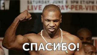 🌟 emoji Федерация бокса Челябинской об Telegram sticker 15 of 15