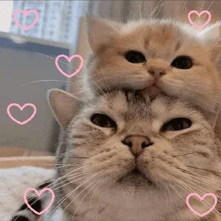 ❤️ emoji Ily Telegram sticker 6 of 53