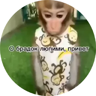Sticker from Бибизяны 2.0 @cryptopenys