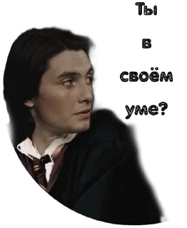 😒 emoji Мародёры @stickers_HarryPotter Telegram sticker 6 of 30