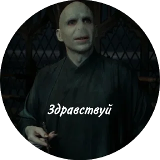 👋 emoji Мем Волди @stickers_HarryPotter Telegram sticker 17 of 40
