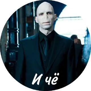 🗿 emoji Мем Волди @stickers_HarryPotter Telegram sticker 8 of 40