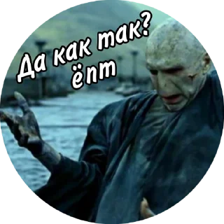 🧐 emoji Мем Волди @stickers_HarryPotter Telegram sticker 9 of 40