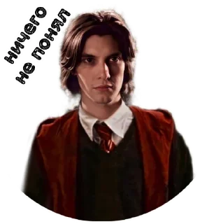 😕 emoji Мародёры @stickers_HarryPotter Telegram sticker 4 of 30