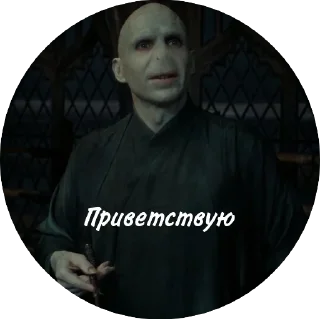 👋 emoji Мем Волди @stickers_HarryPotter Telegram sticker 18 of 40