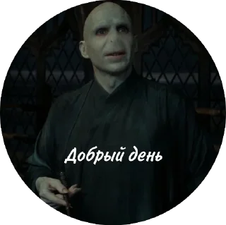 👋 emoji Мем Волди @stickers_HarryPotter Telegram sticker 16 of 40