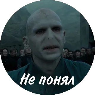 Sticker from Мем Волди @stickers_HarryPotter