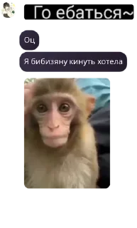 ⬇️ emoji Элитный курятник😱🤗 pack by @QuotLyBot Telegram sticker 22 of 85