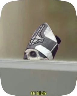 Sticker from листен ту гост