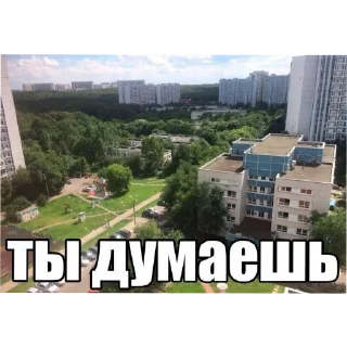 🏙 emoji Шапочка для плаванья Telegram sticker 5 of 70