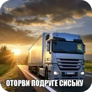 🚗 emoji Шапочка для плаванья Telegram sticker 16 of 70