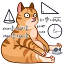 🙄 emoji My animation Telegram sticker 17 of 75