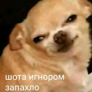 Sticker from На все случаи жизни