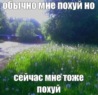 Sticker from Мне похуй ::