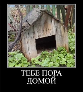 Sticker from Семакинские подсосы