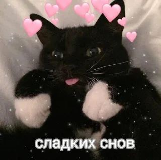 🌙 emoji K&K Telegram sticker 21 of 88