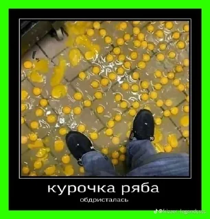 Sticker from Амнезиак в жопе