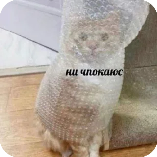 Sticker from пак пикми изгоев.