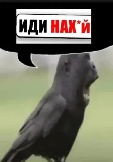 Sticker from словил зазу