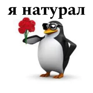 🌟 emoji Пингвин Telegram sticker 23 of 51