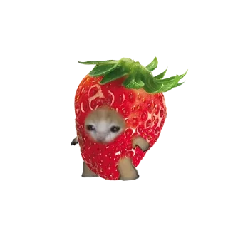 🍓 emoji Просто кринж Telegram sticker 12 of 36