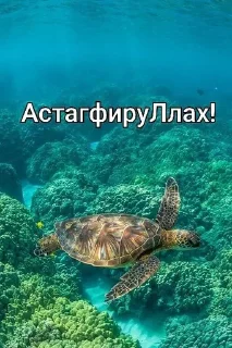 Sticker from МЕМ стикеры