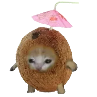 🥥 emoji Просто кринж Telegram sticker 15 of 36
