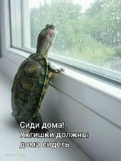 Sticker from МЕМ стикеры