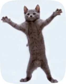 😺 emoji 😸Meme Telegram sticker 5 of 48
