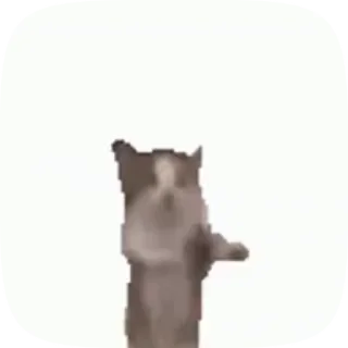 😺 emoji 😸Meme Telegram sticker 14 of 48