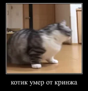 Sticker from Лудокотик