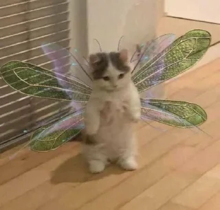 🧚‍♀️ emoji булочки💕💞💗💓💗💞 Telegram sticker 11 of 120