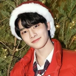 Sticker from Stray kids Christmas