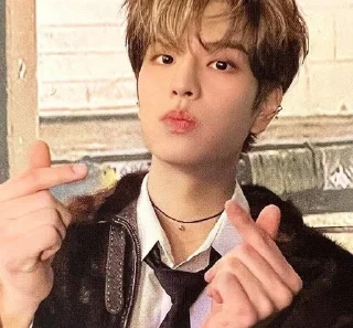 💓 emoji stray kids 🫧🪼 Telegram sticker 16 of 120