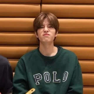 🤢 emoji stray kids 🫧🪼 Telegram sticker 18 of 120