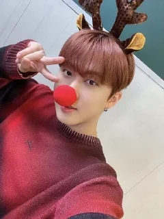 Sticker from Stray kids Christmas