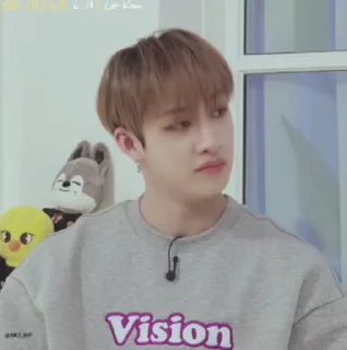 Sticker from @carriemistake ft. stray kids