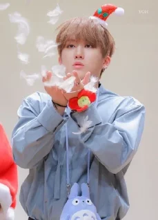 Sticker from Stray kids Christmas