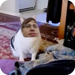 🐱 emoji Трактор Telegram sticker 15 of 34