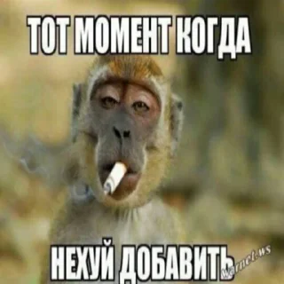 😐 emoji вика трактор Telegram sticker 15 of 65