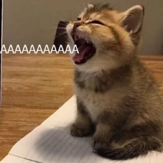 😫 emoji О да, это снова я Telegram sticker 16 of 50