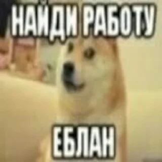 💸 emoji вика трактор Telegram sticker 21 of 65