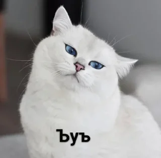 🤨 emoji О да, это снова я Telegram sticker 12 of 50