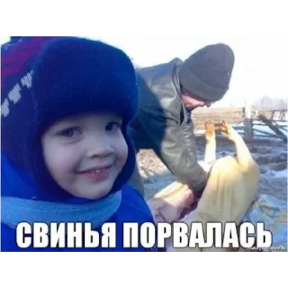Sticker from вика трактор
