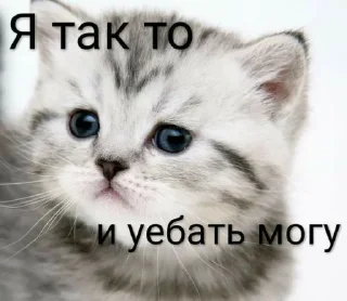 👊 emoji О да, это снова я Telegram sticker 18 of 50