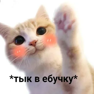Sticker from ВСЕ СТИКИ ТУТ: @sekstick